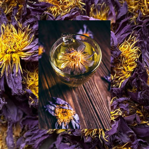 Blue Lotus Flower Dried Organic Flowers (Nymphaea Caerulea) Egyptian Tea