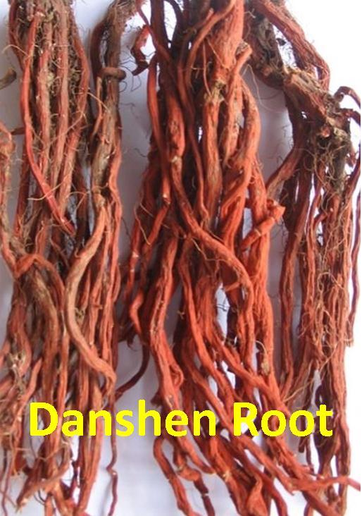 Danshen, TanShen, Red Sage, Salvia Miltiorrhiza, 纯丹参粉 100% Pure Extract 100G