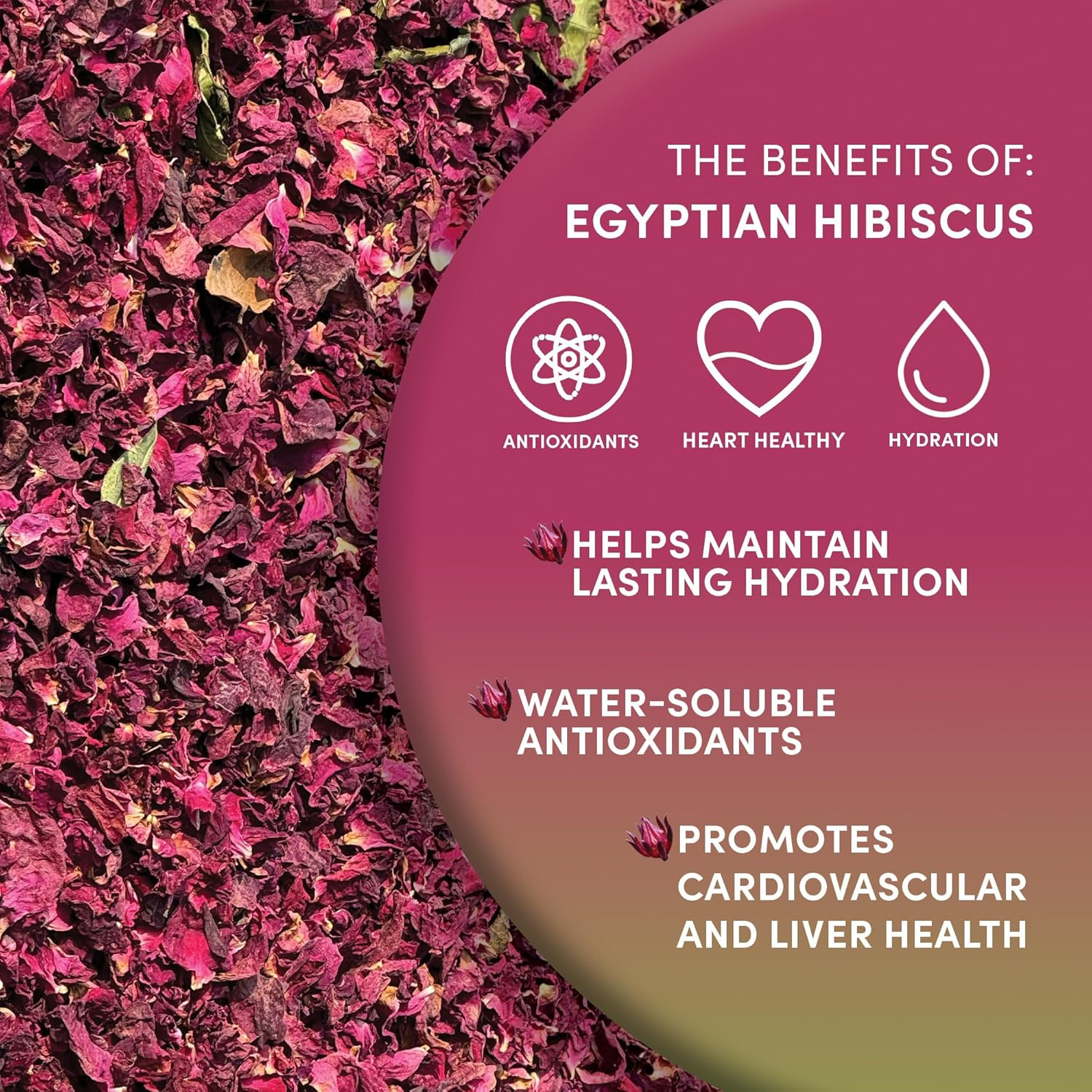 Organic Hibiscus Tea – 8 Oz, Loose Leaf, Cut and Sifted – 100% Egyptian Hibiscus