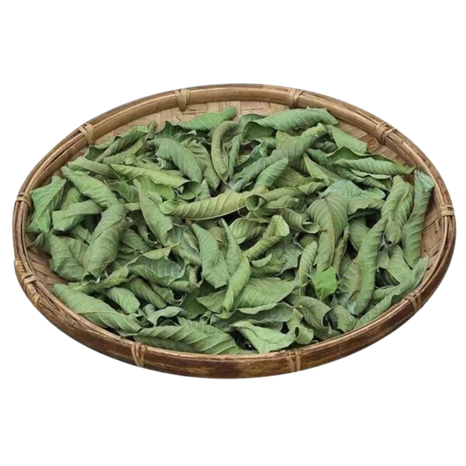 Organic Guava Leaf Tea from Sri Lanka | Pure Dried Leaves (Non-GMO) 50g to 2kg