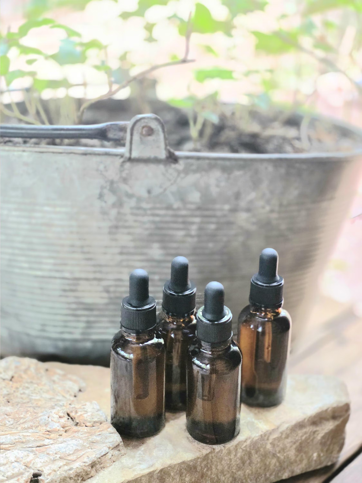 Wild Native Organic Elderberry leaves Infused Oil