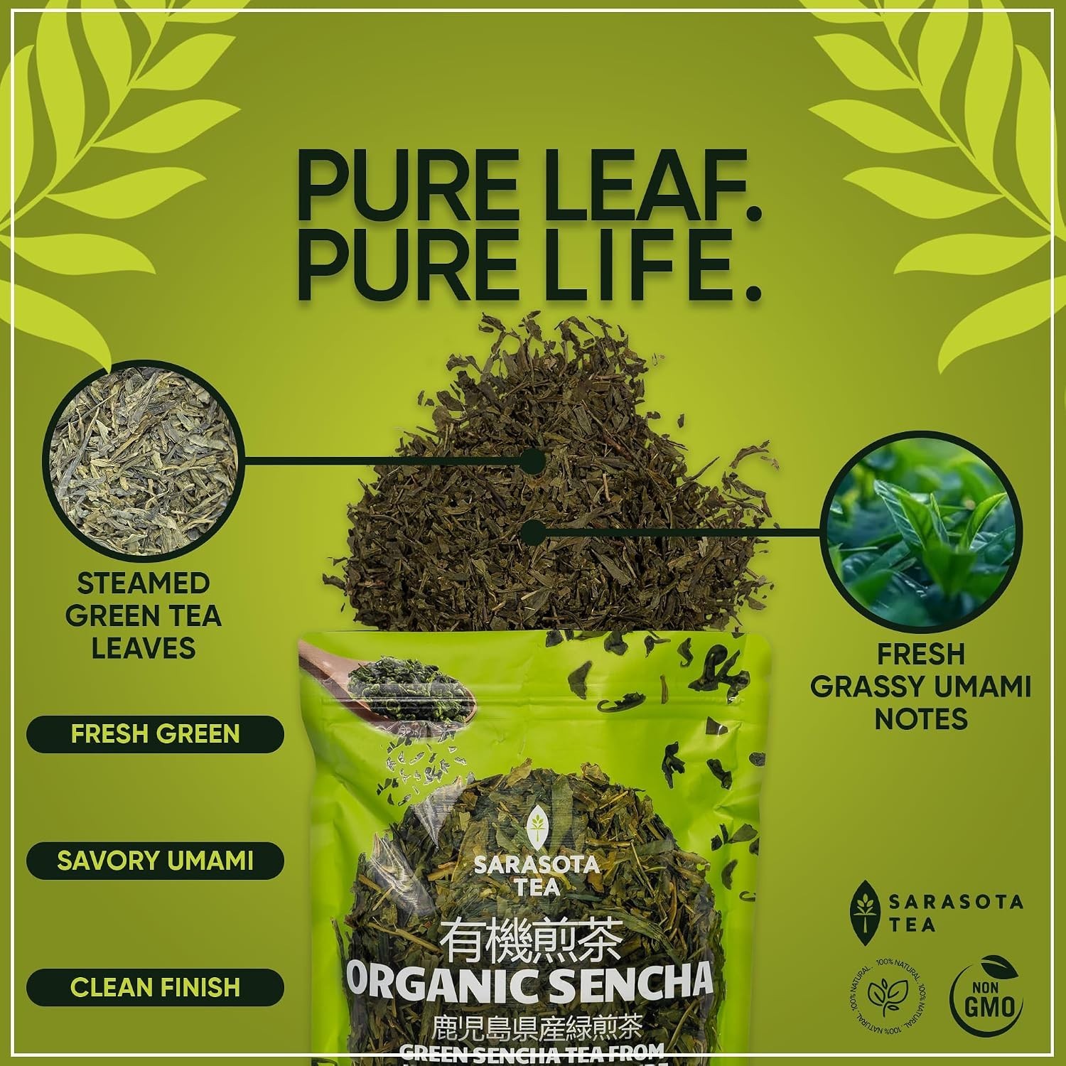 Organic Japanese Sencha Green Tea Loose Leaf | Green Tea from Kagoshima Pref…