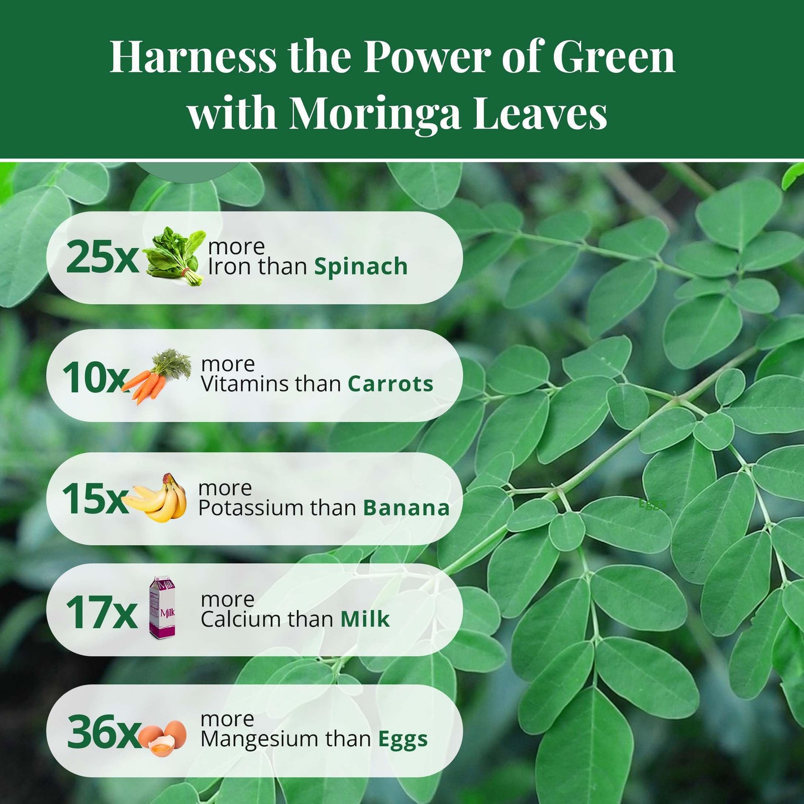 Moringa Leaves-2.6oz, Dried From Fresh Green 2.6 Ounce (Pack of 1)