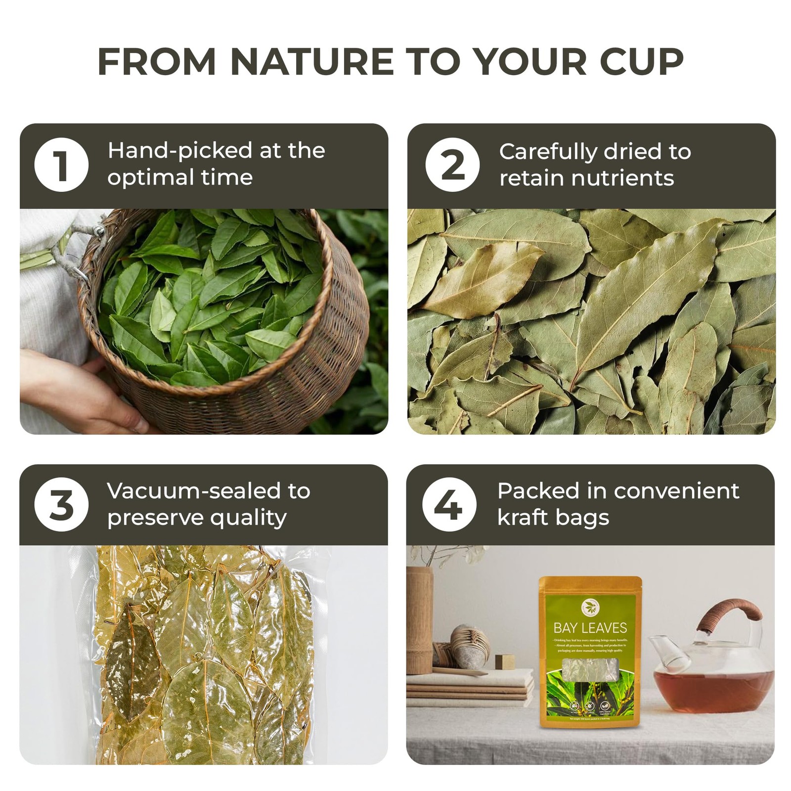 Bay Leaves Tea 150 Dried Whole Leaves, 1.06 oz, Hojas de Laurel, 100% Natura…