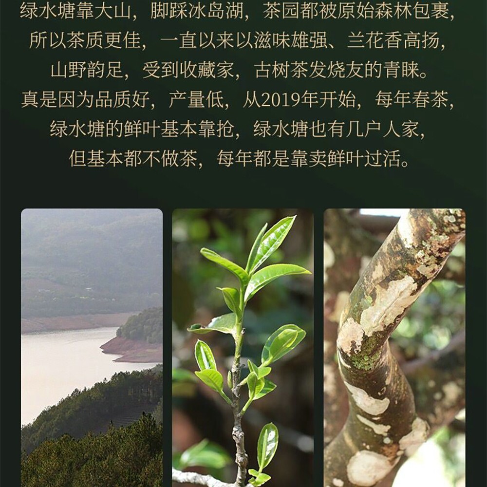 Pu-erh 普洱,2022,盛嘉源 SHENG JIA YUAN, 綠水塘 green pond ,357g,Raw