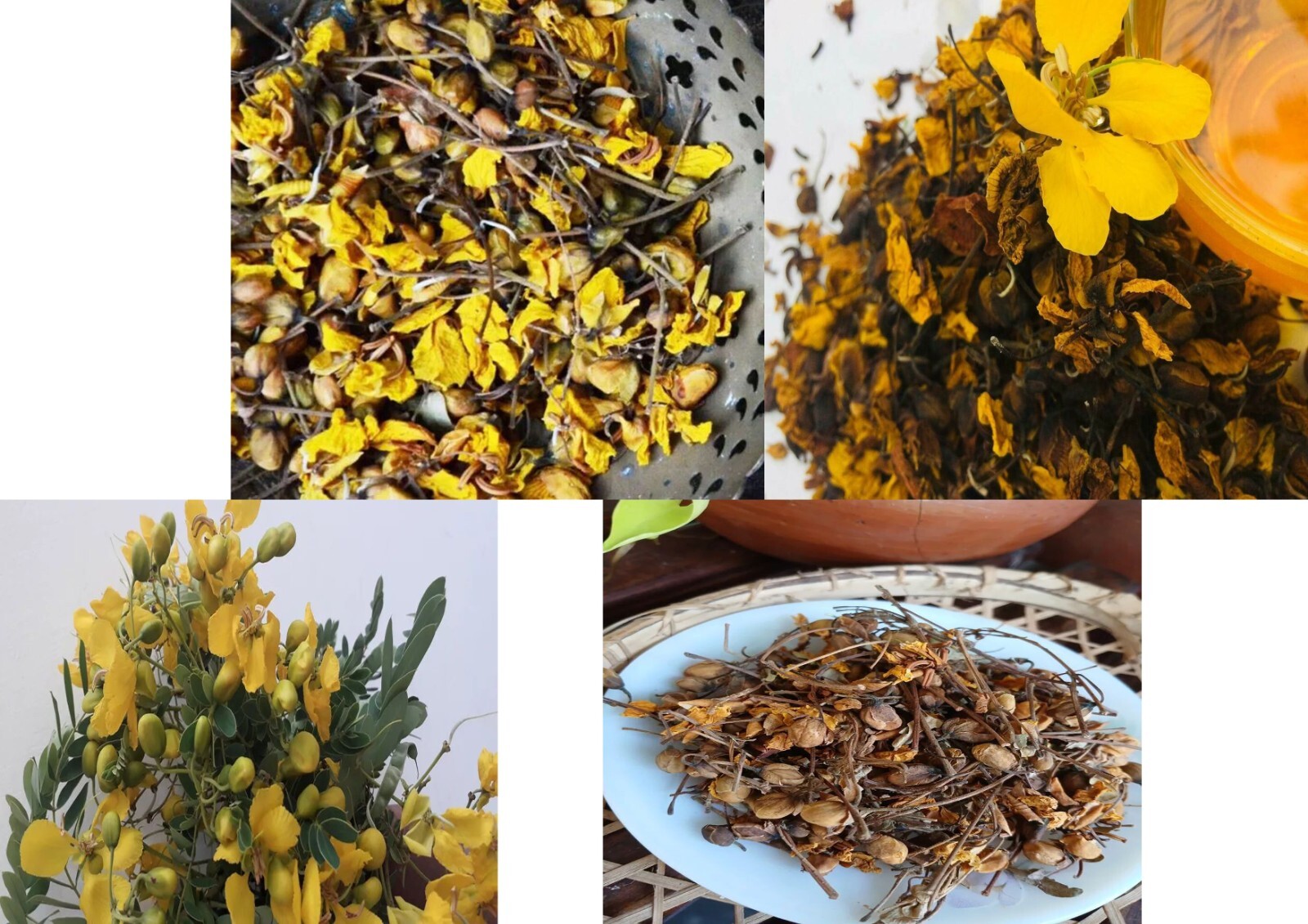 Ceylon Natural Dried Ranawara Flower Ayurvedic Tea 100% Herbal Drink Avarampoo