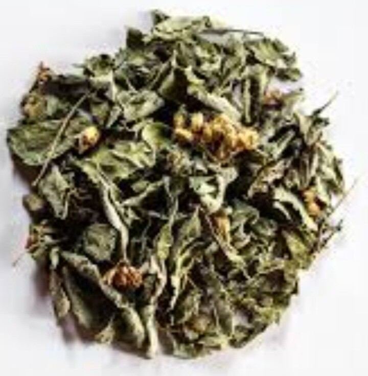 Mexican Dream Calea zacatechichi Natural Dried Organic Healthy Herbal Tea