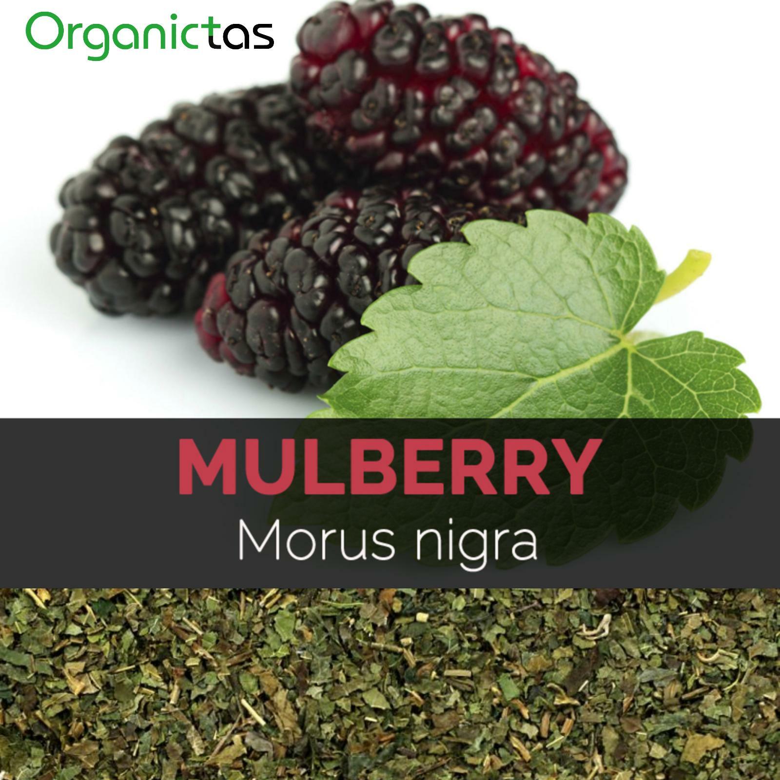 Organic Black Mulberry Leaf Tea (Morus Nigra) Wild Harvest Premium Quality