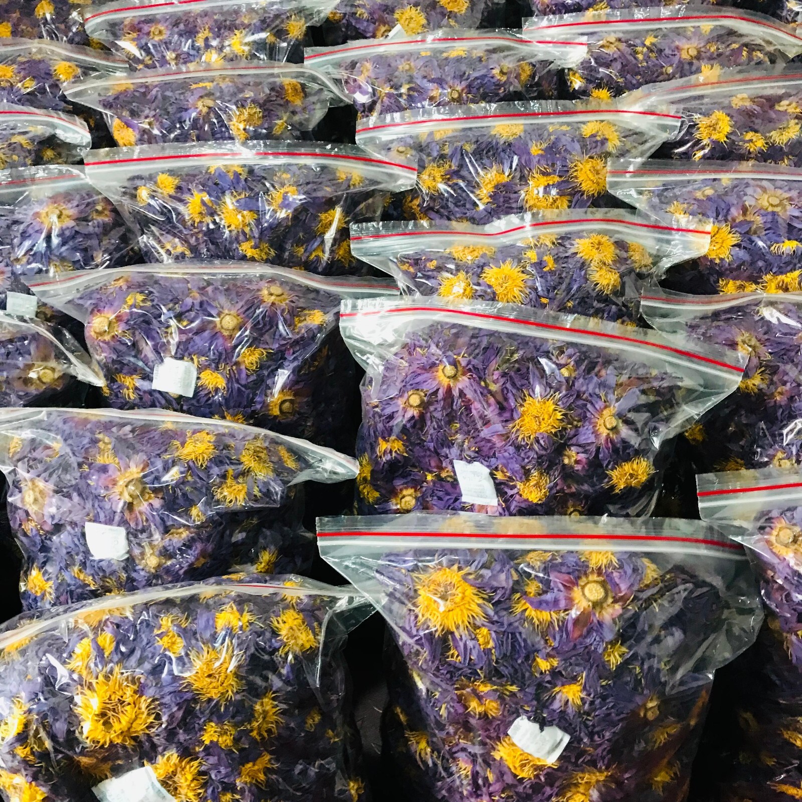 Egyptian Dried Blue Lotus Nymphaea Caerulea Hand Pick Flowers Organic Herbal Tea