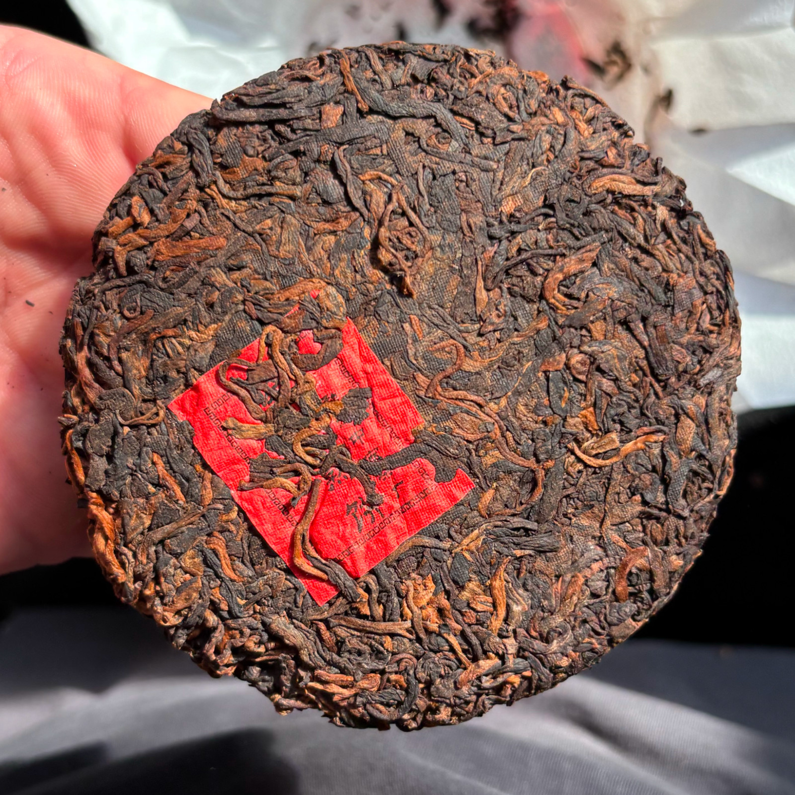 2020 Yiwu Golden Bud Shu Pu-erh