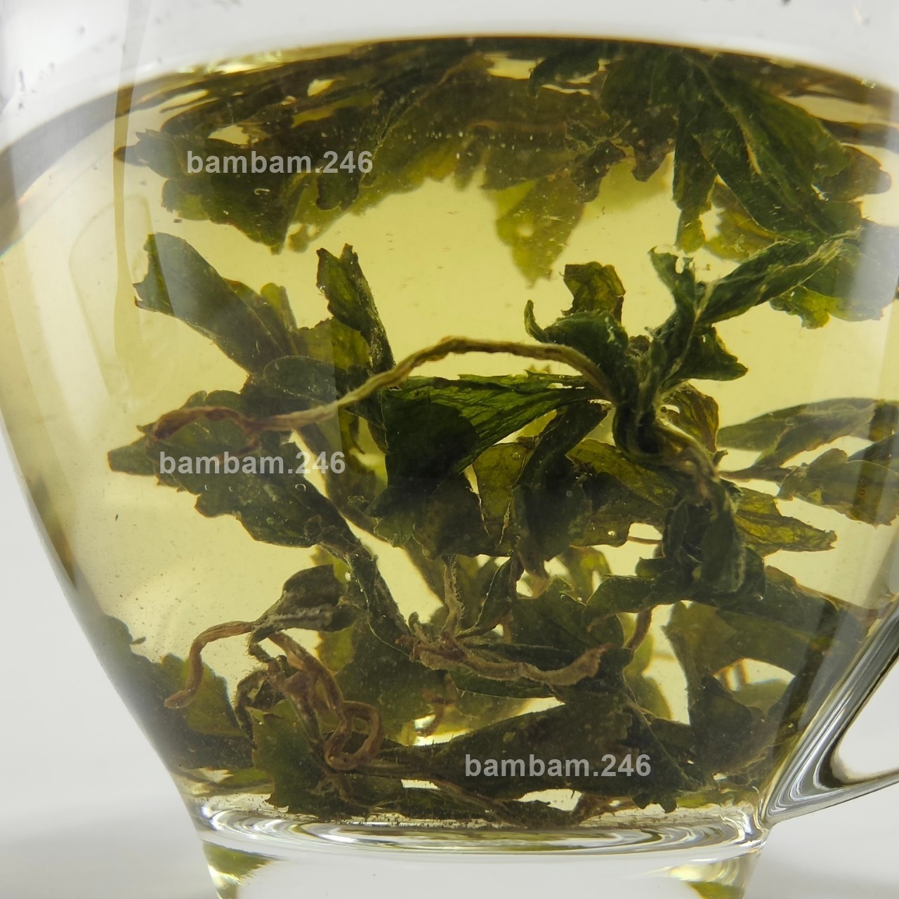 700 Sachet Jiaogulan Herbal Tea 100% Natural Organic Vegan Lower Sugar Healthy G