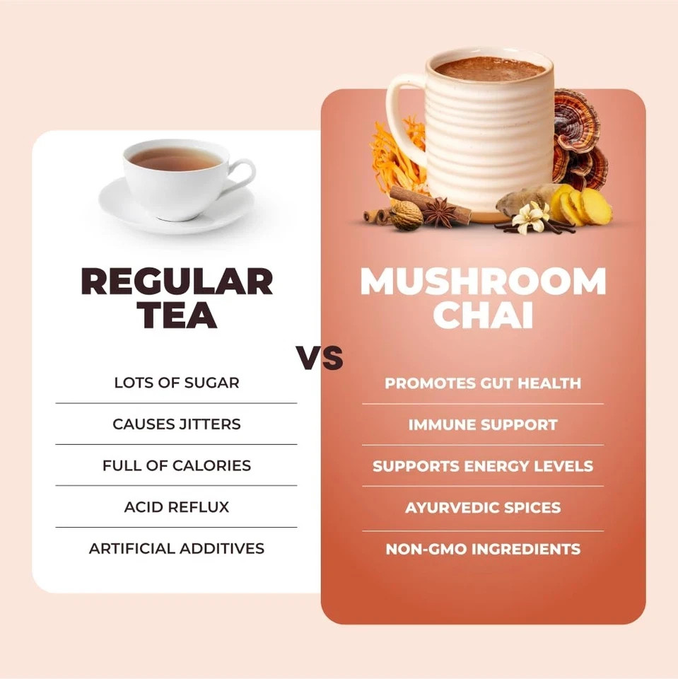 RŸZE Mushroom Chai With 6 Adaptogenic Mushrooms Beverage Powder (5 Pack)