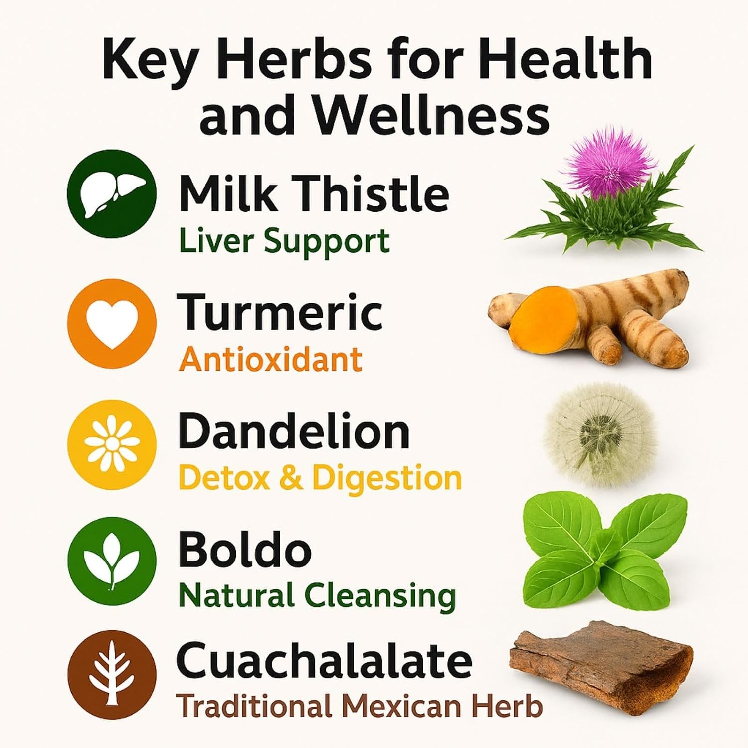 Cardo mariano, curcuma, diente de leon, boldo & cuachalalate TE (Milk thistle, t
