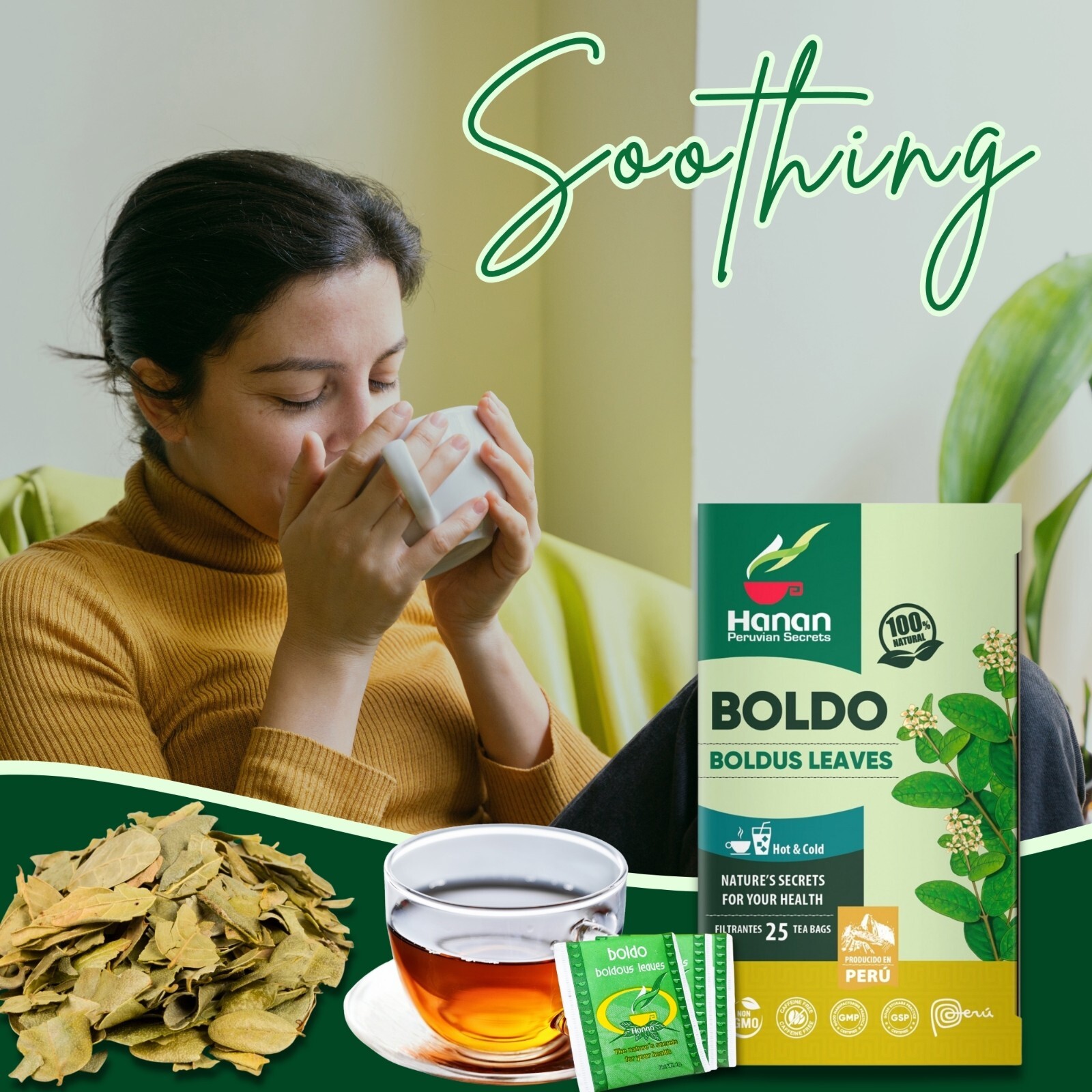 Boldo Herbal Tea (Boldus Leaves) – 25 Teabags