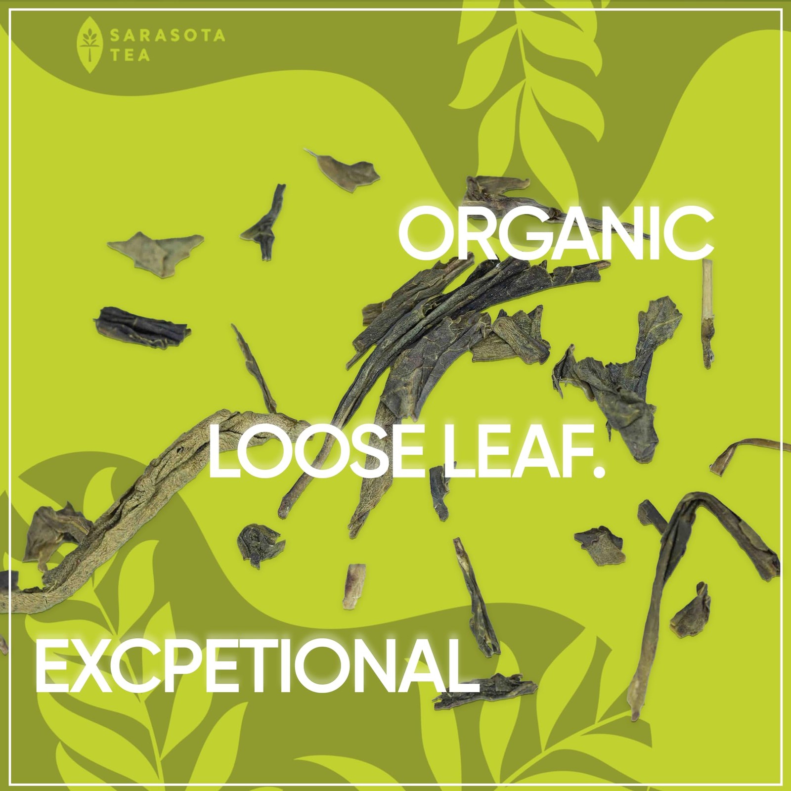 Organic Japanese Sencha Green Tea Loose Leaf | Premium Green Tea from Kagoshi…