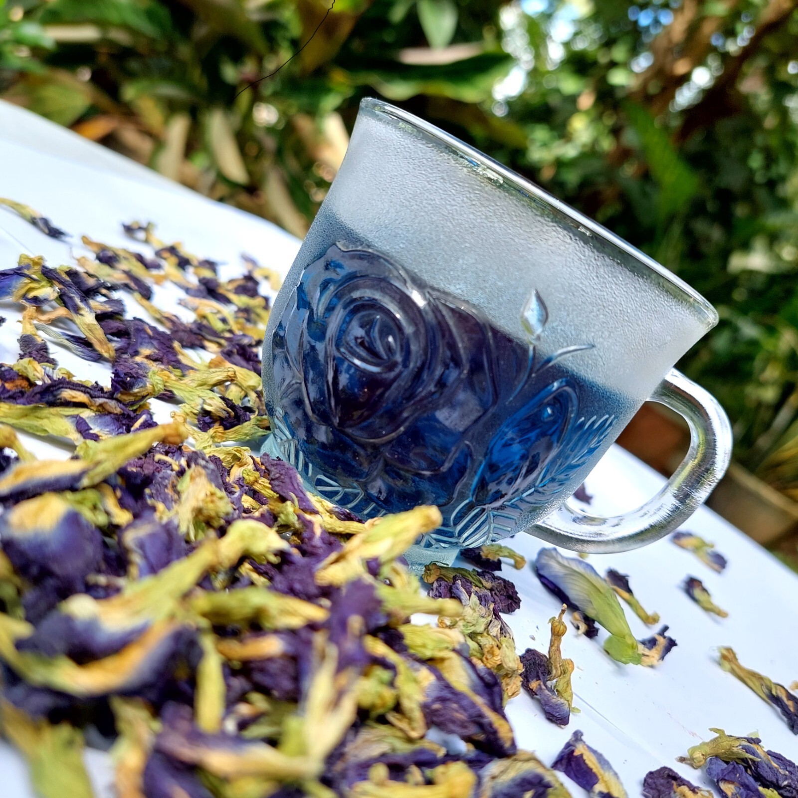 500g Blue Butterfly Pea Flower Clitoria Ternatea Nil Katarodu For Herbal Drink