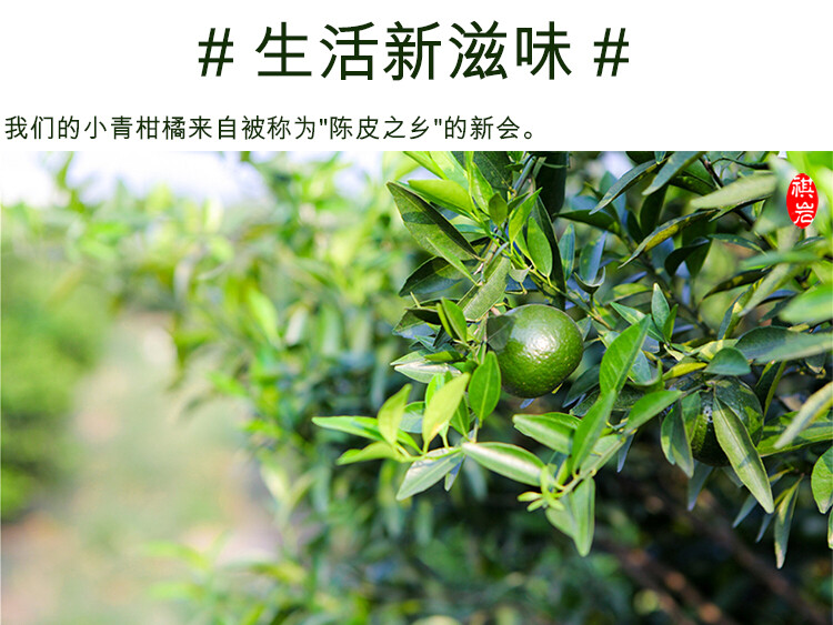 Xiao Qing Gan Chenpi Orange Pu’er Yunnan Pu-erh Tea Stuffed Tangerine Ripe 250g