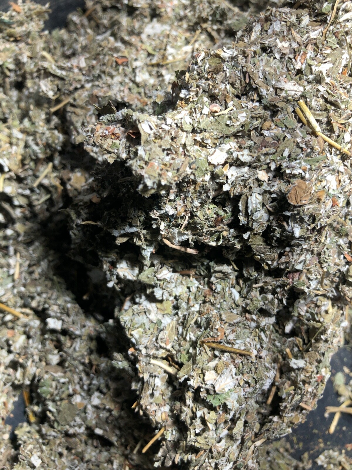 Organic Red Raspberry Leaf Wild Crafted Cut Bulk Herb Rubus Idaeus ounce pound