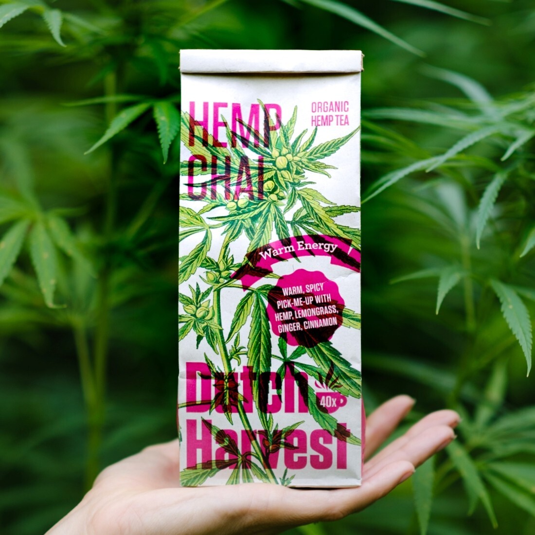 Dutch Harvest – HEMP CHAI – A warm, spicy pick-me-up – Organic 