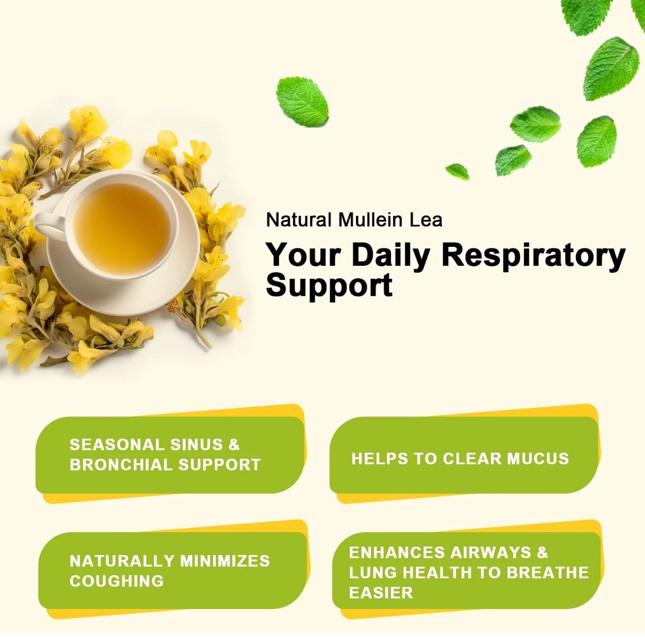Mullein Leaf Tea Bags for Lung Cleanse, Respiratory Support and Mucus Allergies