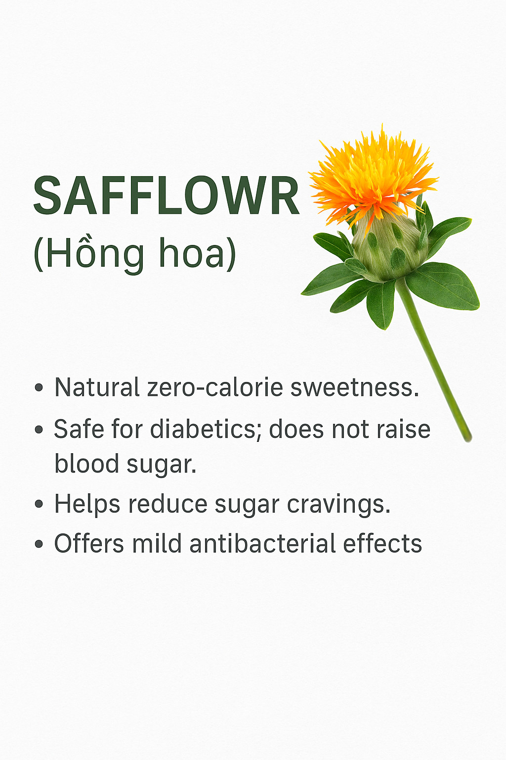 Hmong Sister’s Tea – Hmong herbal tea