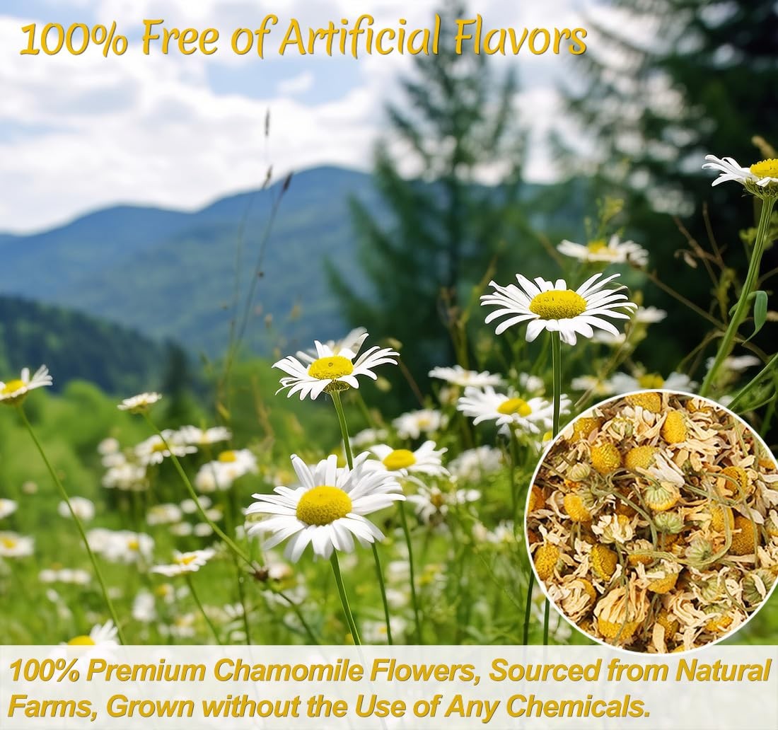135 Chamomile Tea Bags – Pure Natural Flower, Caffeine-Free, Non-GMO