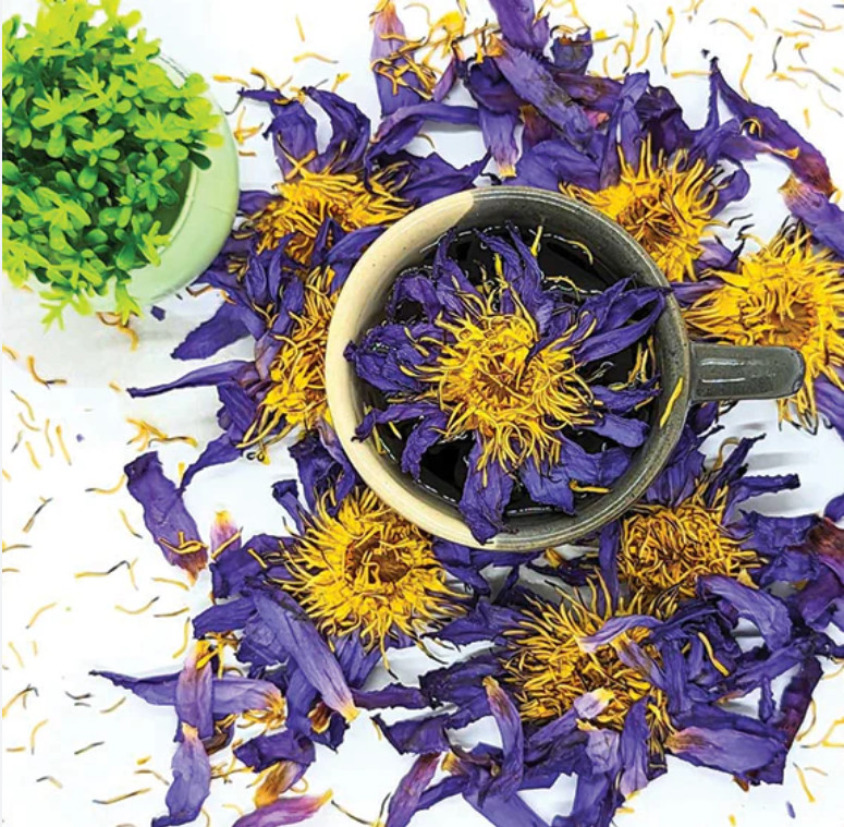 Blue Lotus (Nymphaea Caerulea) herbal tea – Bulk
