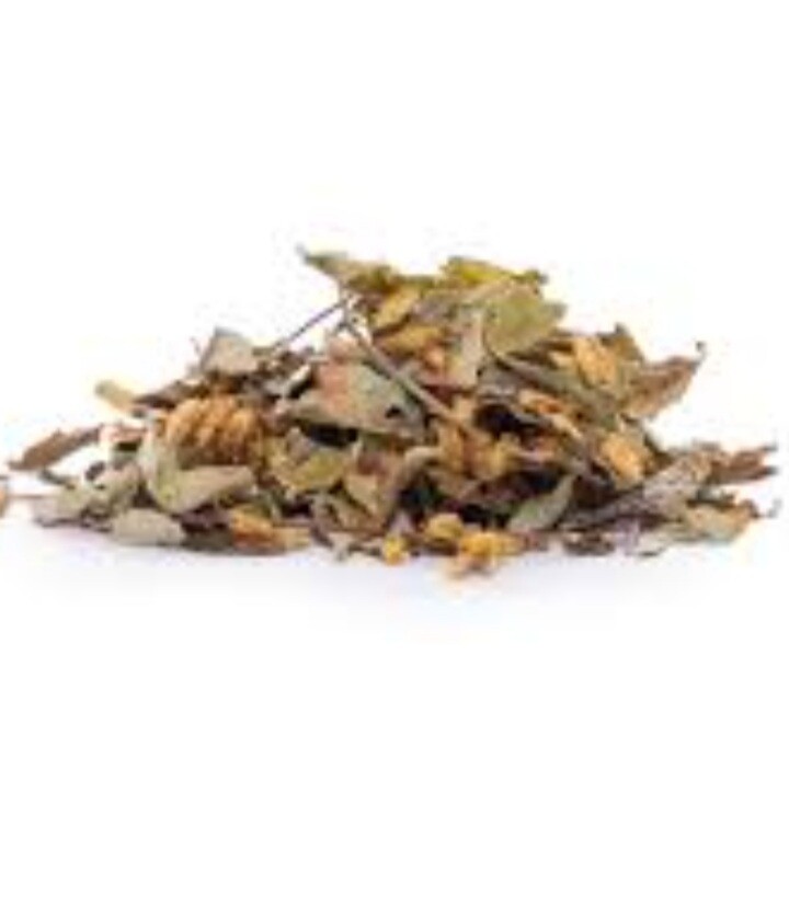 Mexican Dream Calea zacatechichi Natural Dried Organic Healthy Herbal Tea