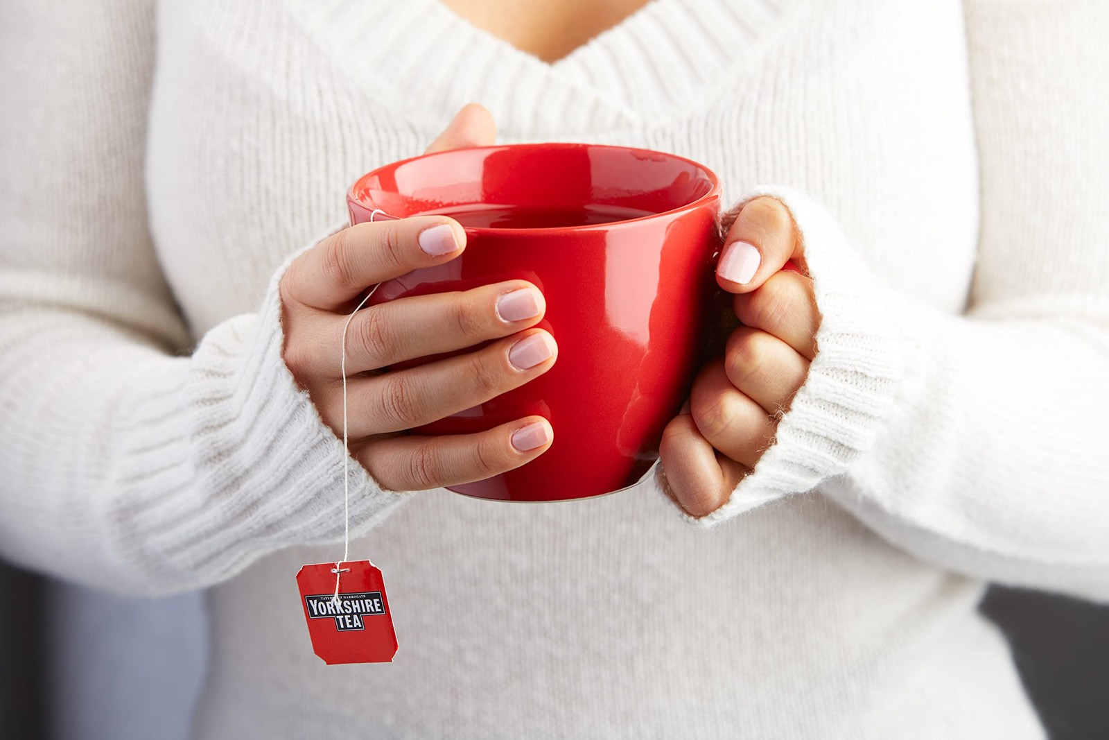 Taylors of Harrogate Yorkshire Red 100 Teabags 100 Teabags (Pack of 1)