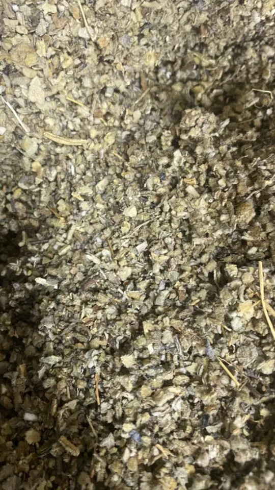 Mullein Herb – Bulk Medicinal Lung Leaf – 1/4 lb pound