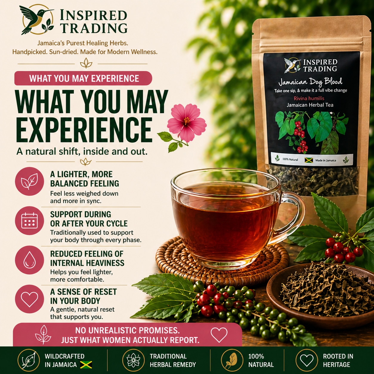 Jamaican Dog Blood Tea 2 Pack Fertility TTC Womb Wellness | Wildcrafted Portland