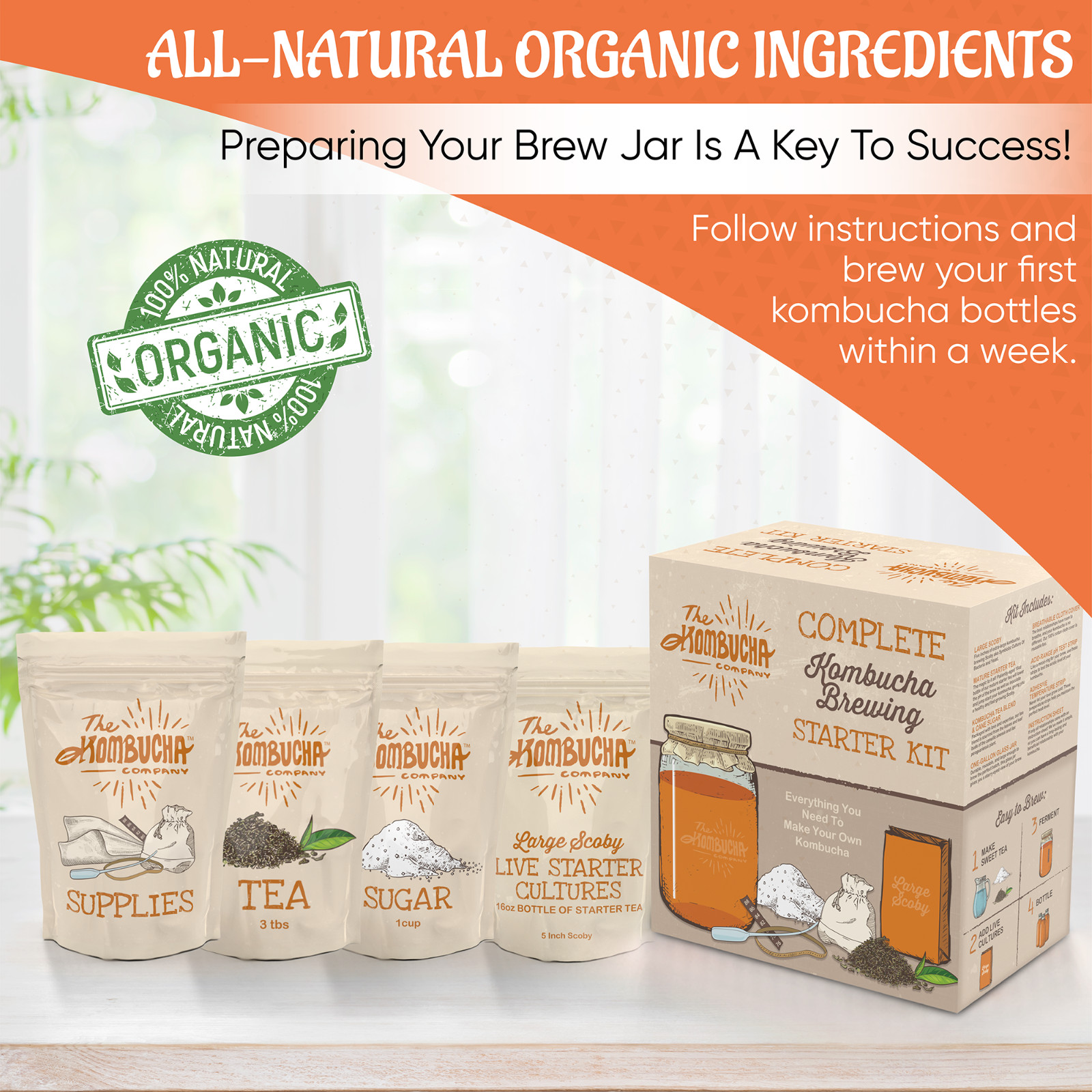 Complete Kombucha Brewing Starter Kit – Scoby and 16oz Starter Tea + supplies
