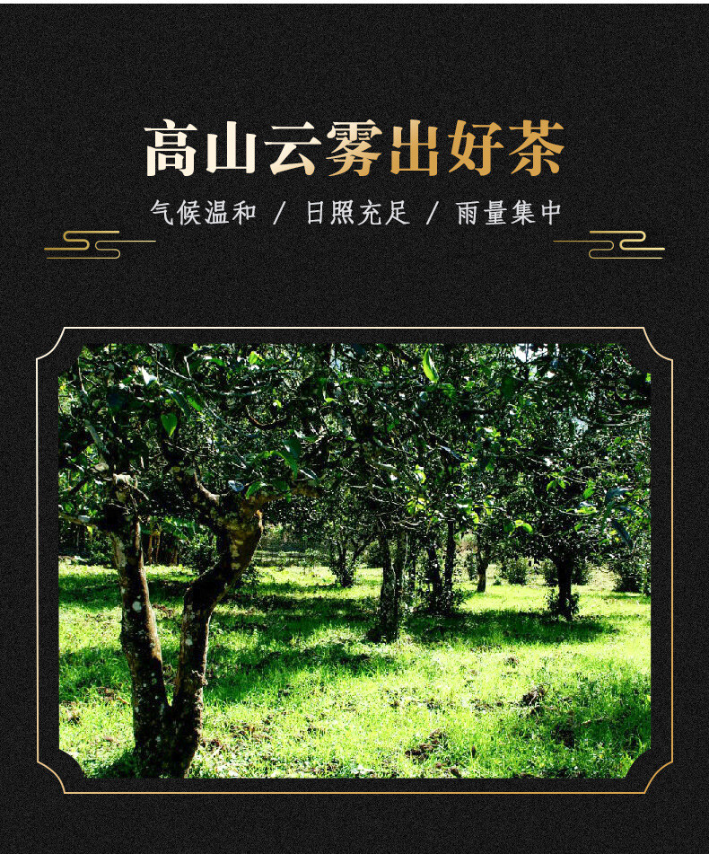 Premium 2012 Menghai Raw Pu’er Tea Icelandic Ancient Tree 357g Natural Cake