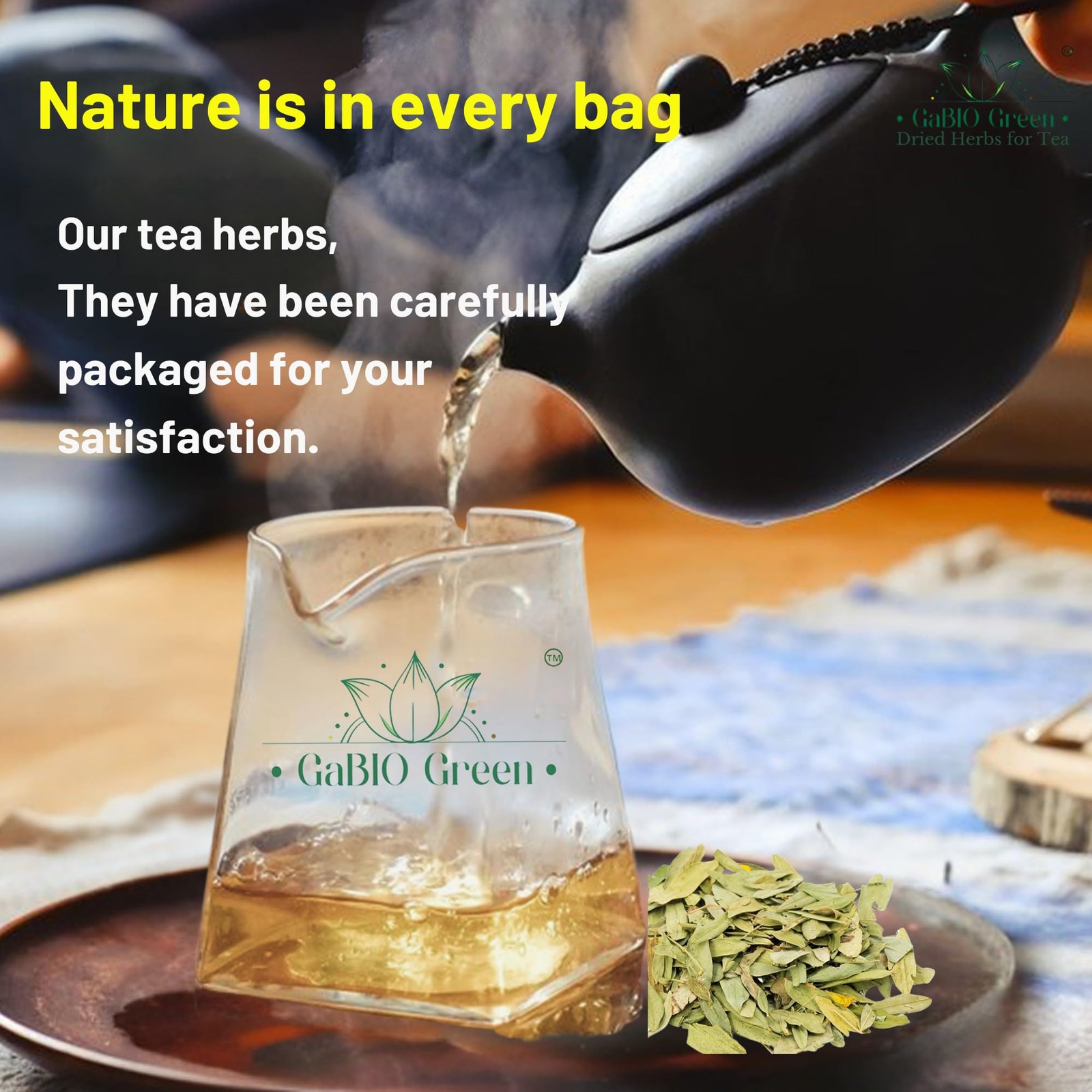 Natural Senna Leaves Hoja Sen Dried Herbal Leaves, Senna Raw Leaf, Hoja Sen C…