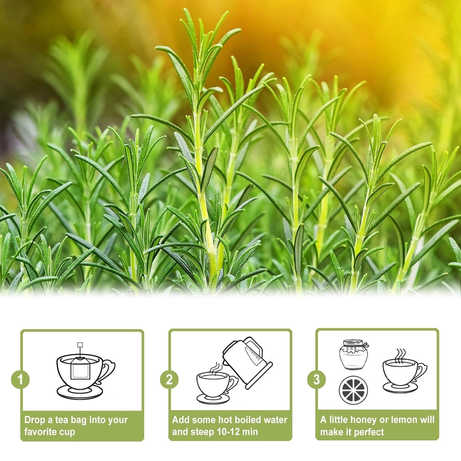 Rosemary Tea – 1.5g x 50 Count Bags – Boost Immune & Digestive Health