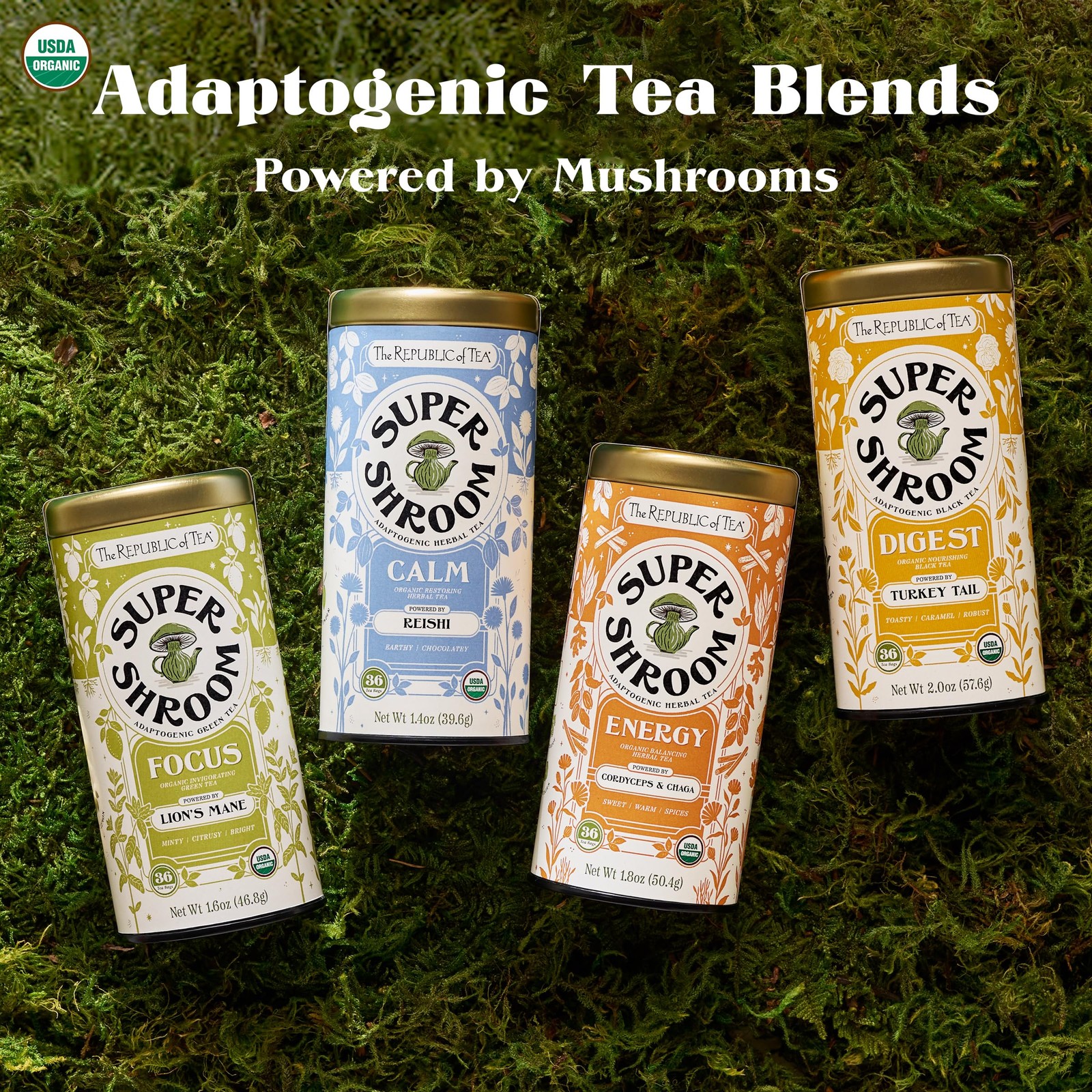 SuperShroom Digest Turkey Tail Black Tea, Organic Chicory and Caramel Notes, …