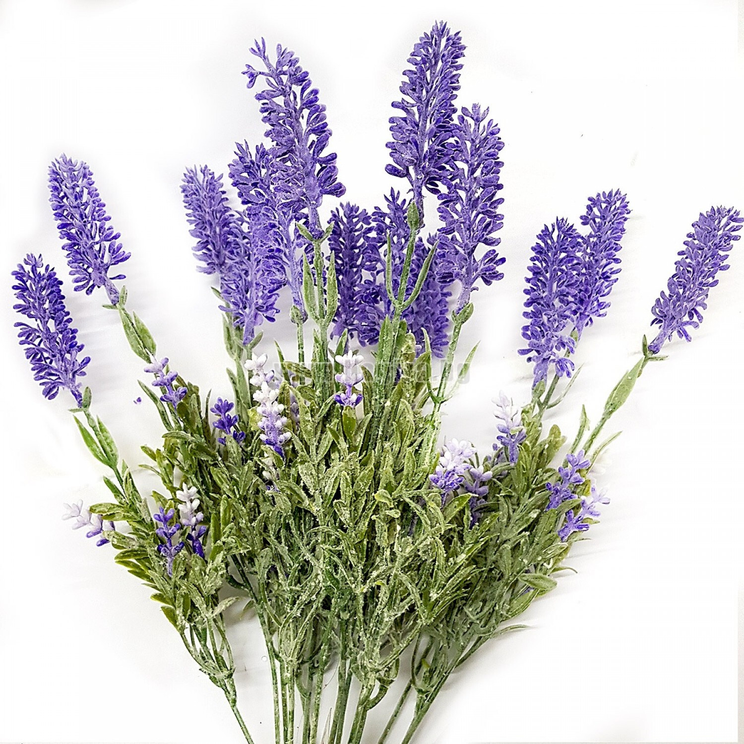 Lavender Dry Flower Bulk – Pure Bulgarian Lavender – Lavandula Angustifolia Mill
