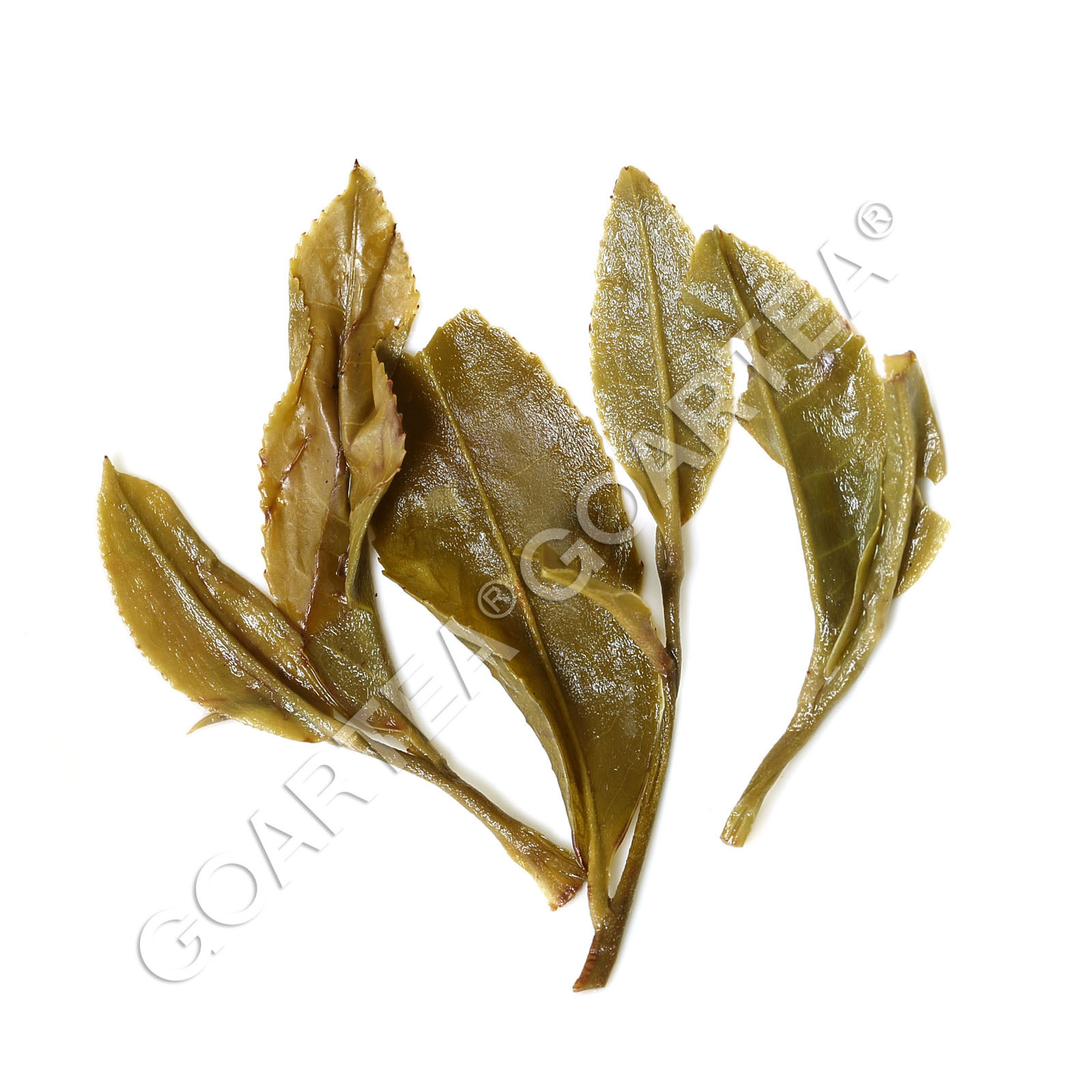 GOARTEA Premium Jasmine Dragon Pearl Loose Leaf Chinese Green Tea Hand Rolled