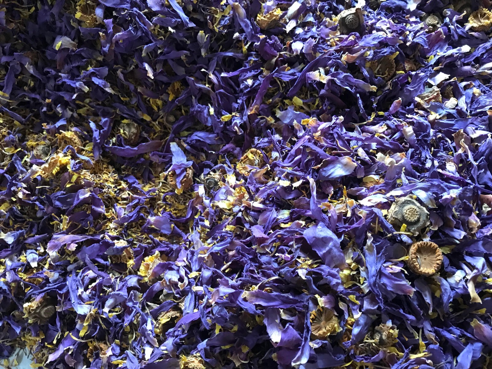 Dried Cut Blue Lotus 100g Nymphaea Caerulea Egyptian Lotus Flowers Organic Tea