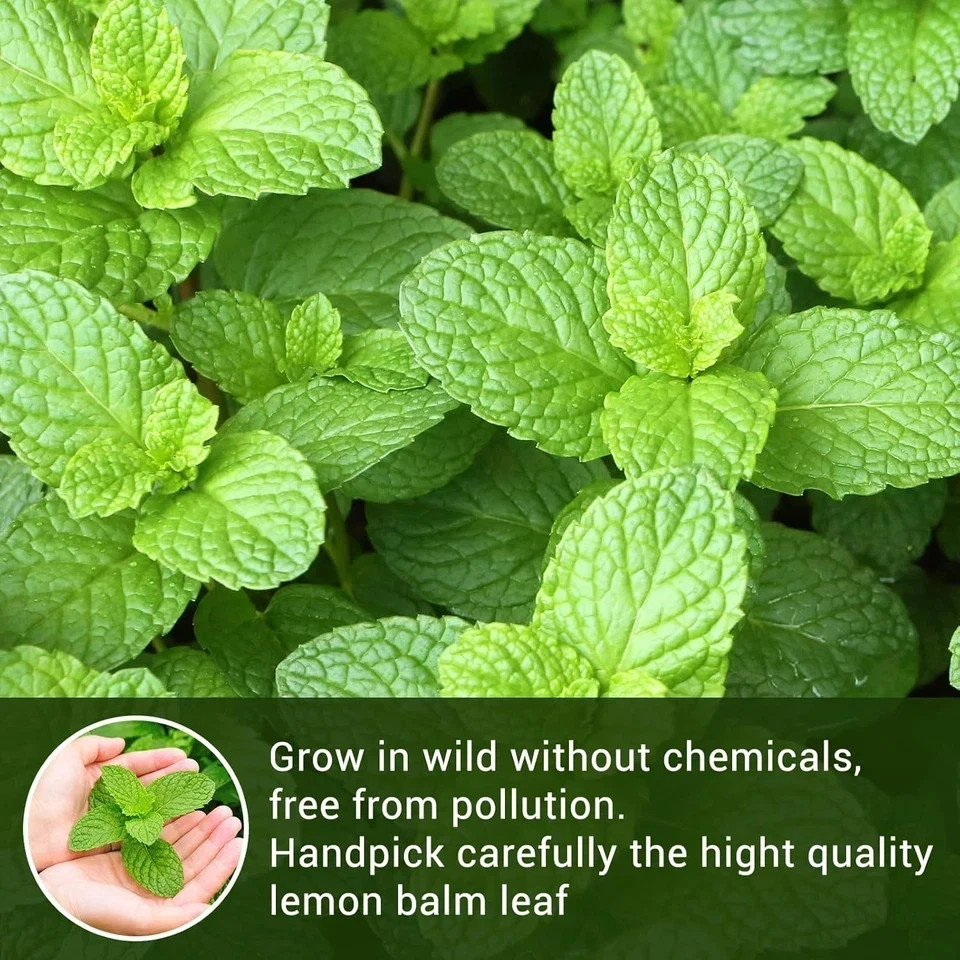 Lemon Balm Tea, 100% Pure & Natural Lemon Balm Leaves Herbal Tea Bags, Promotes