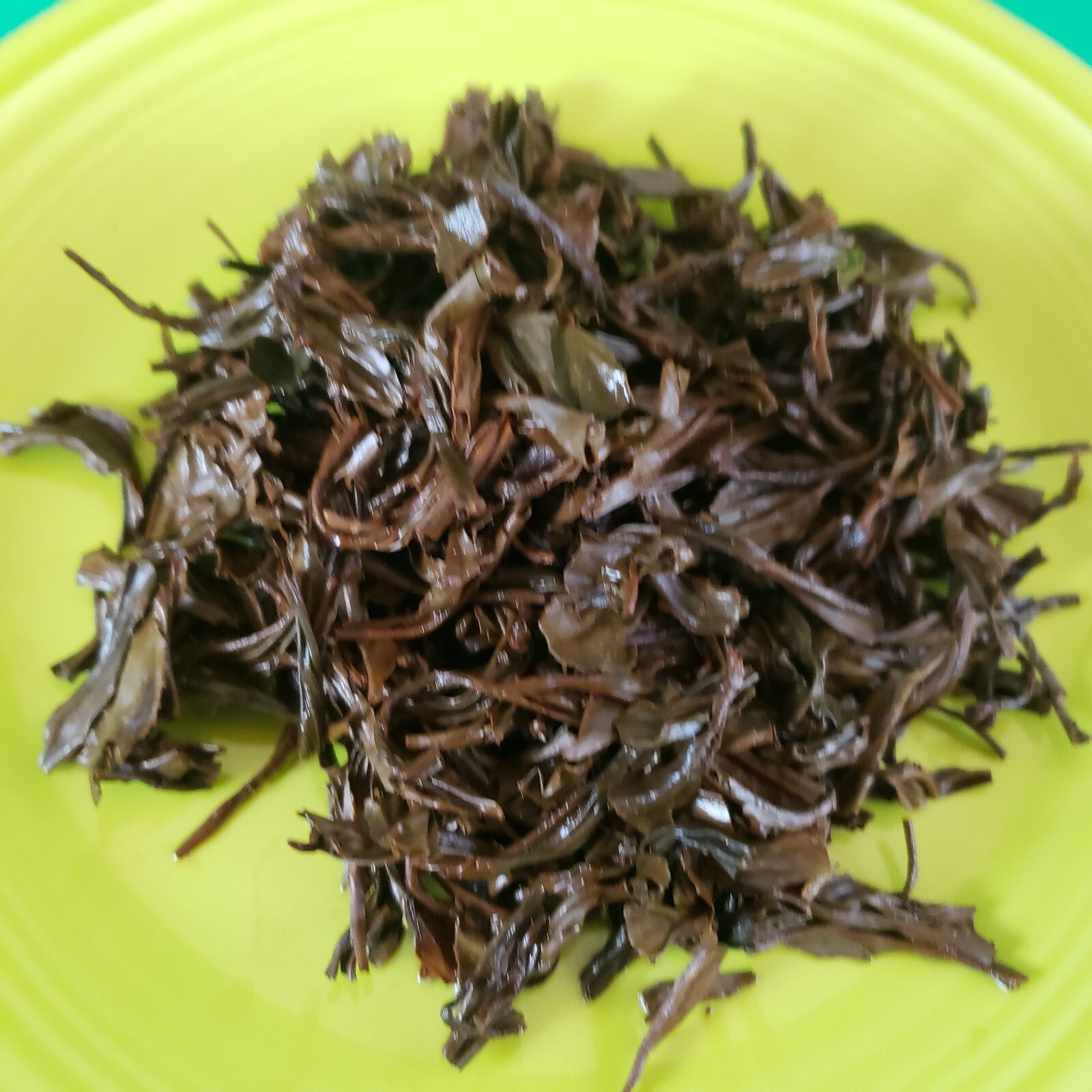 Lapsang Souchong Fujian Collection Black Tea, Unsmoked – 1 lb – Cert Organic