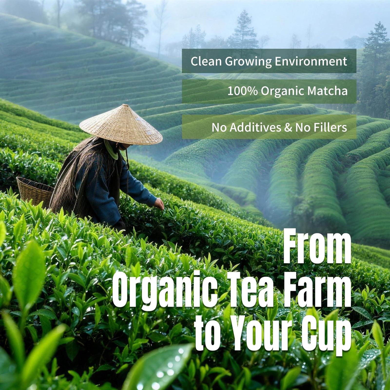 Organic Ceremonial Matcha Powder, First Harvest Ceremonial Grade Matcha, Smoo…