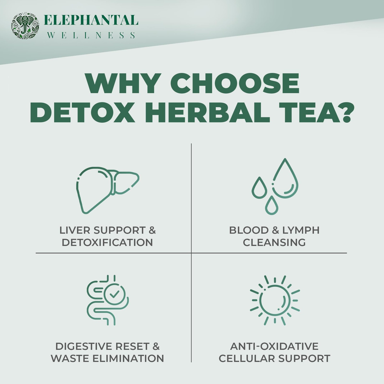 Premium Detox Herbal Tea | Daily Liver, Kidney, Blood 4oz