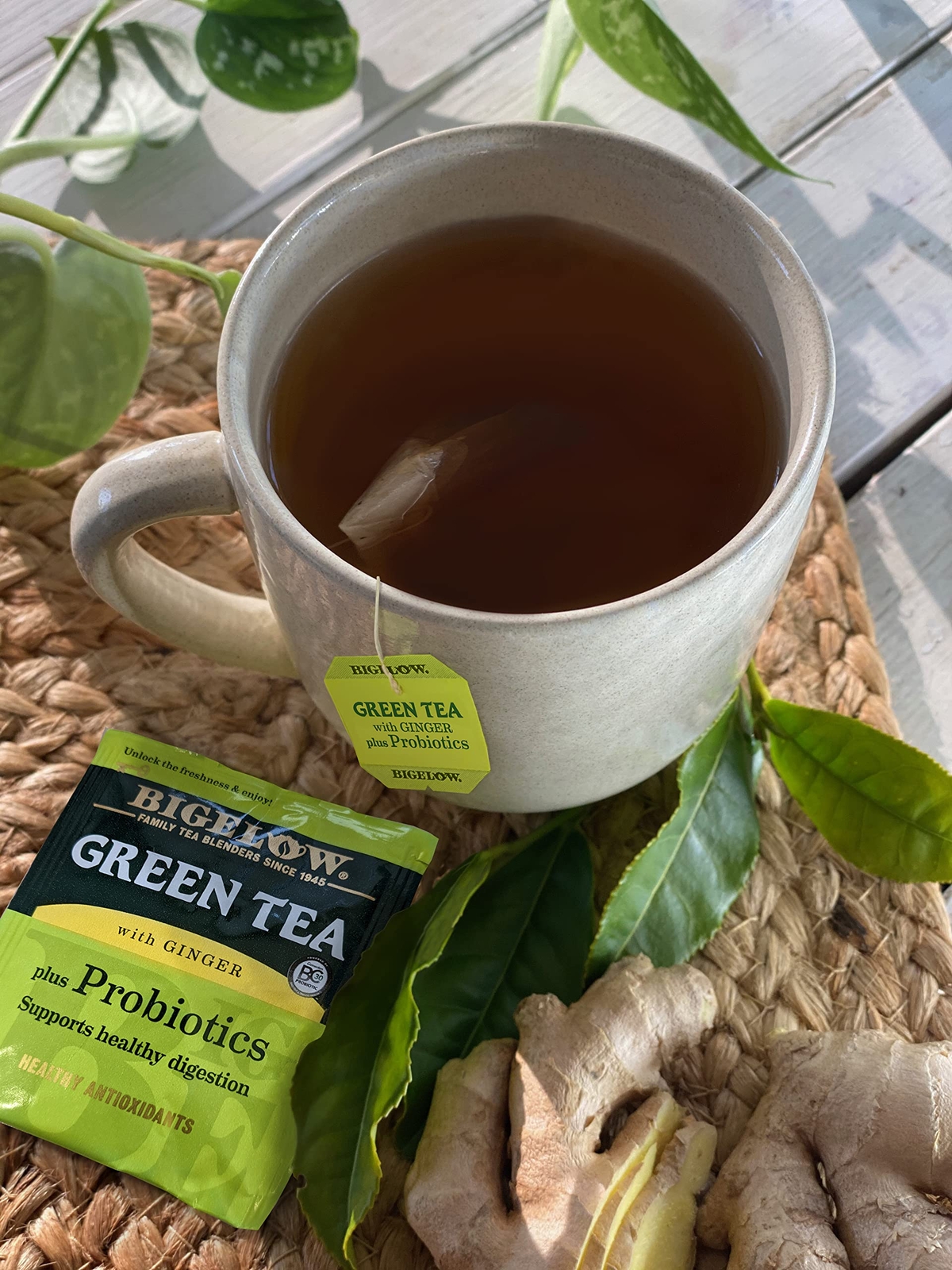 Bigelow Green Tea with Ginger Plus Probiotics Pack of 6 Gluten Free Tea Bags