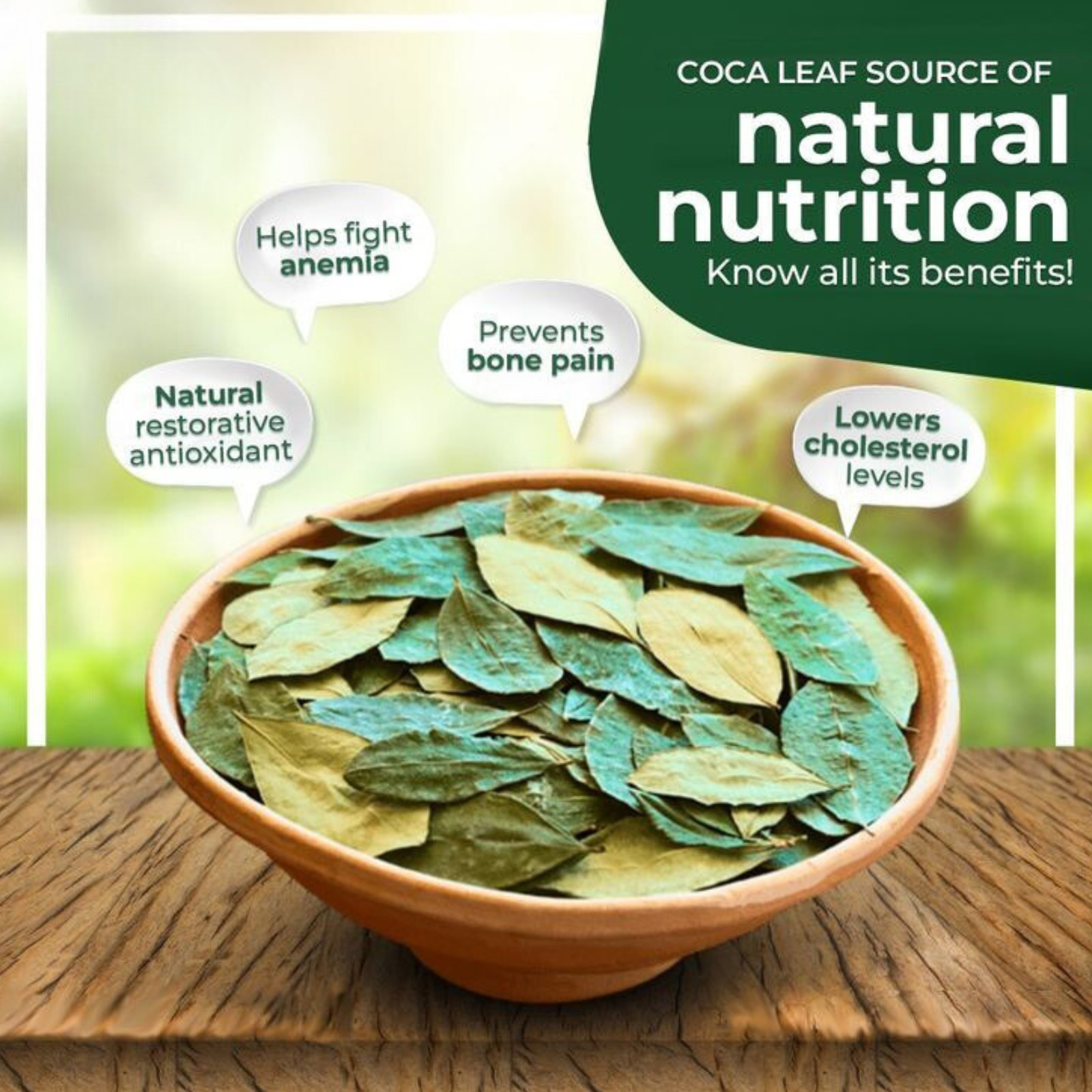 250+ DRIED COCOA LEAVES 100%Pure Organic Ceylon High Quality Chocolate Leaf Tea