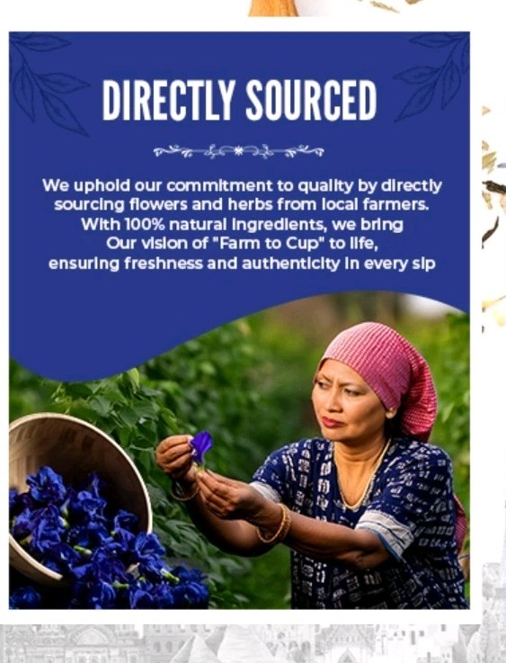 BLUE TEA Butterfly Pea Flower 30 Tea Bags Antioxidant Caffeine Free Detox Herbal