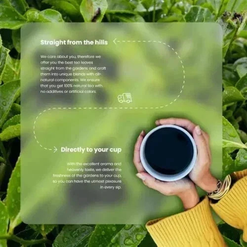 HEALTHY & HYGIENE PCOS Herbal Tea 100g Free Shipping World Wide