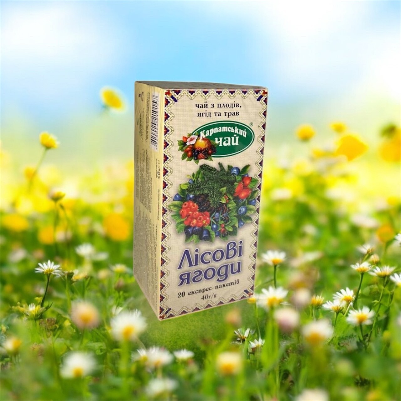 2 Packs Carpathian Tea “Forest Berries” – Herbal Fruit Tea, 40 Tea Bags (80g)
