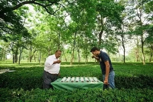 Wah Tea Kashmiri Kahwa Green Tea Leaves 100g Free Shipping World Wide