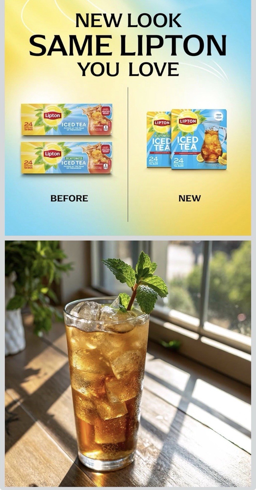 Lipton Unsweetened Black Tea Bags Family Size 144 Ct Zero Calorie 6-Pack